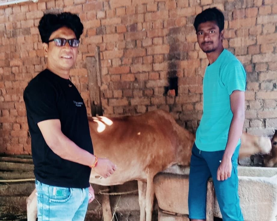 गायों को बीमारी से बचाने लगा रहे वैक्सीन 1 IMG 20230610 174655 1 kshititech