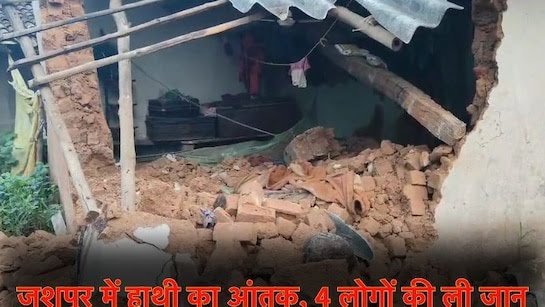 Elephant Attack: जशपुर में हाथी का तांडव, हमले में चार लोगों की मौत, रात 12 बजे मचाया उत्पात 1 23fsetl8 jashpur elephant kshititech