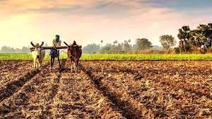 किसान संघ ने मुख्यमंत्री से की किसानों की हित में निर्णय लेने की मांग, धान खरीदी 1 नवंबर से प्रारंभ करने, जेनरिक कृषि केन्द्र खोलने की मांग 1 download kshititech
