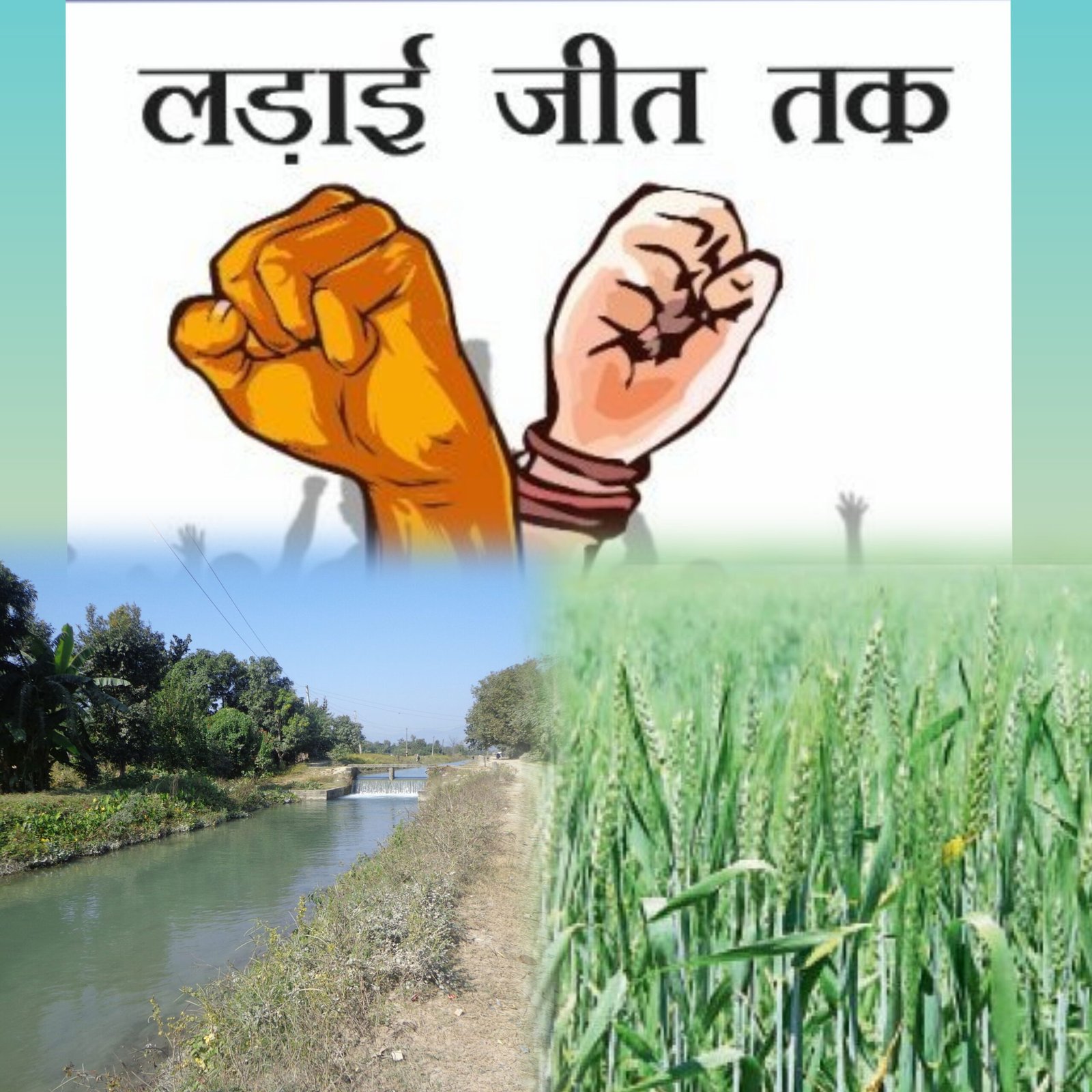 रबी फसल के लिए नहर से मांगा था पानी, मांग नहीं मानी प्रशासन ने, अब किसान करेंगे आज आंदोलन 1 InCollage 20241212 114653201 1 scaled kshititech