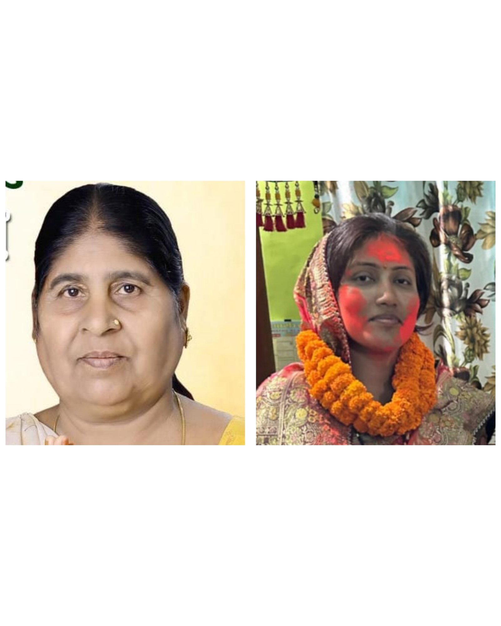 पोता सोना एकलव्य चंद्रा, मालखरौदा से पूर्णिमा और छपोरा से रमौतीन बंजारे जिला पंचायत सदस्य बनीं 1 InCollage 20250222 143515755 scaled kshititech