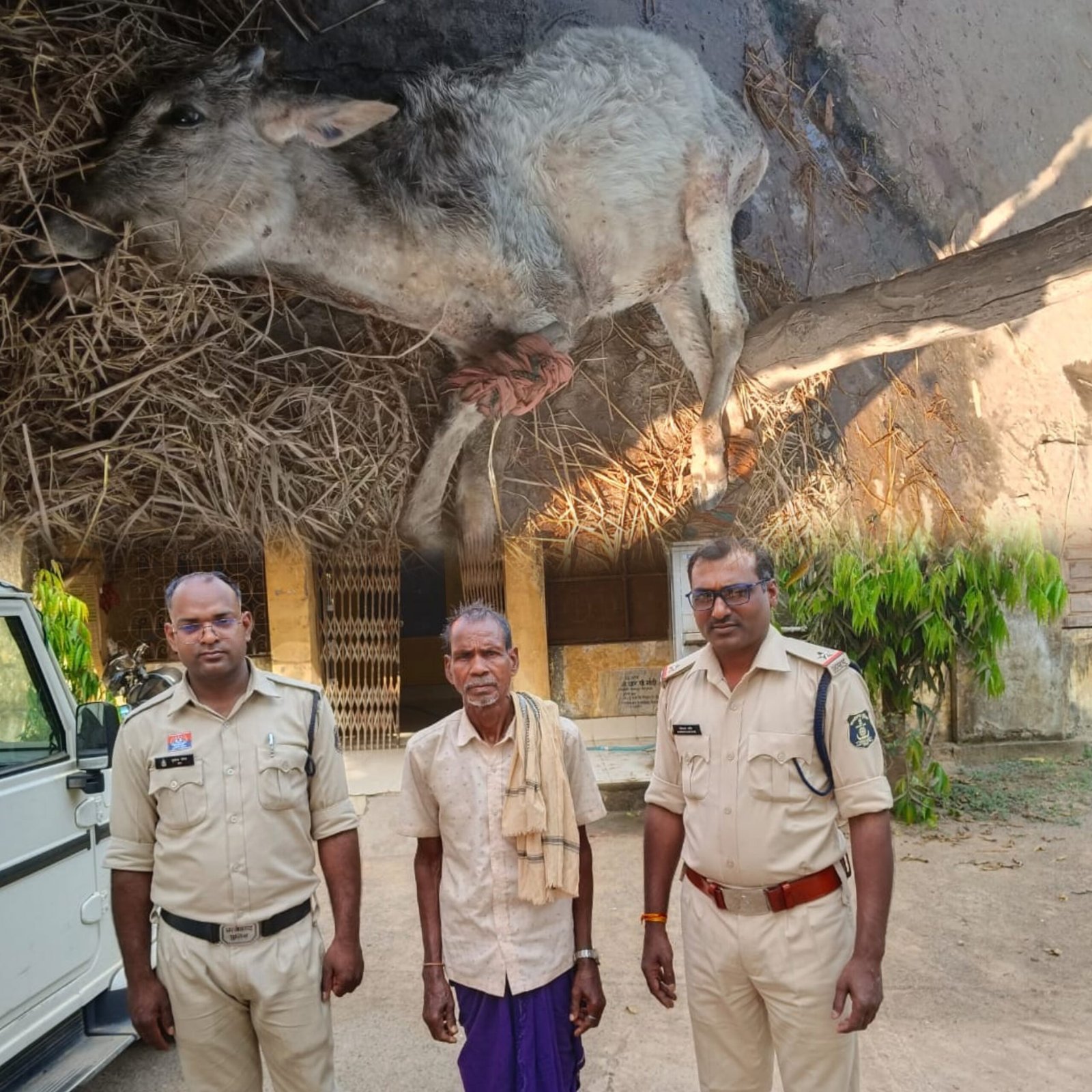 सक्ती जिला : नन्हें गो वंश की पीट-पीट कर हत्या करने वाले आरोपित को पुलिस ने गिरफ्तार कर भेजा न्यायिक रिमांड पर 1 InCollage 20250303 211304374 scaled kshititech