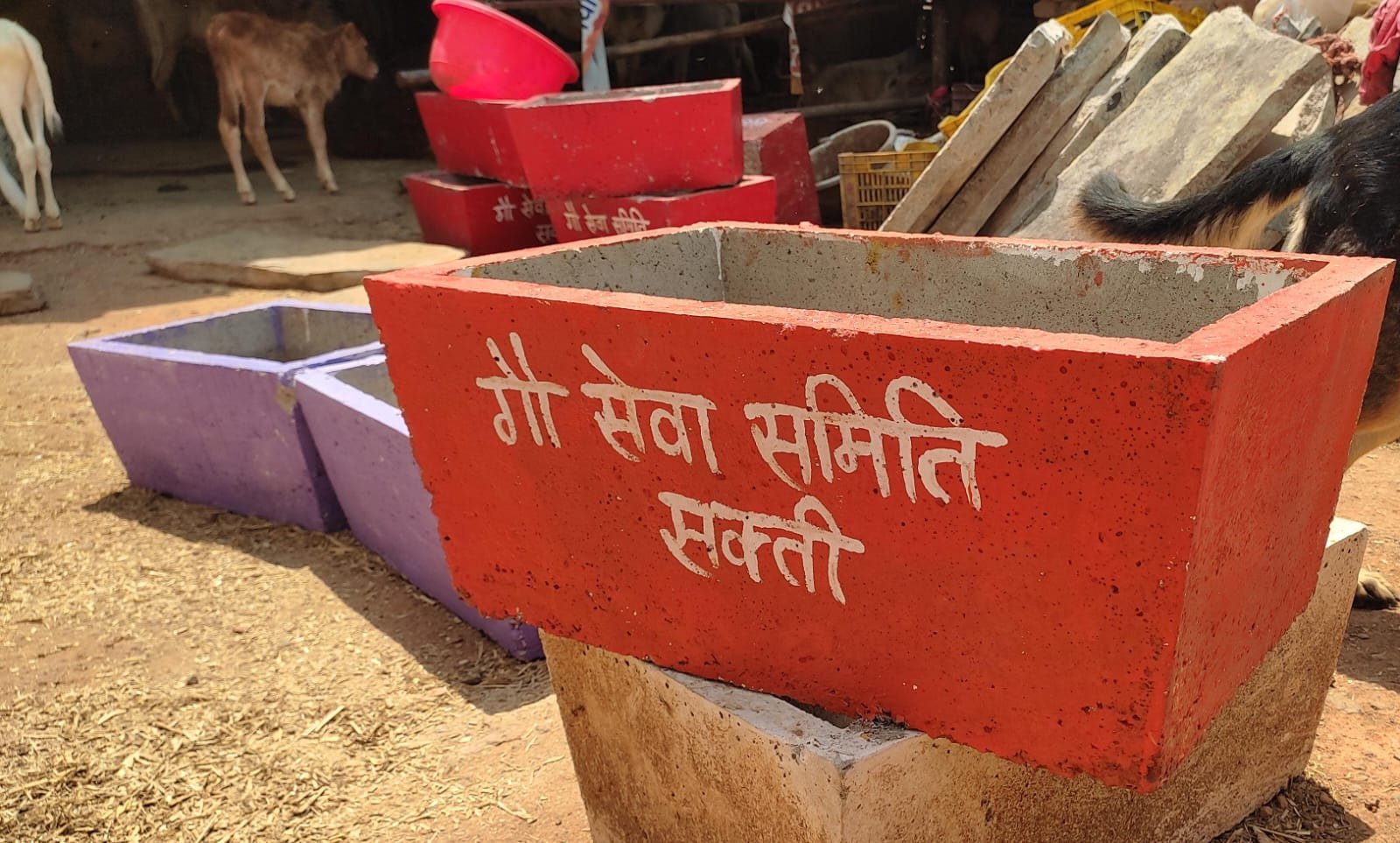 नि:स्वार्थ भाव से गौवंश की सेवा कर रही सक्ती की गौ सेवा समिति, बेजुबान मवेशियों के पानी के लिए गौ सेवकों ने की व्यवस्था, भीषण गर्मी में गौवंश के लिए नगरवासी भी कोटना देकर कर रहे सहयोग 1 IMG 20250409 WA0301 1 kshititech