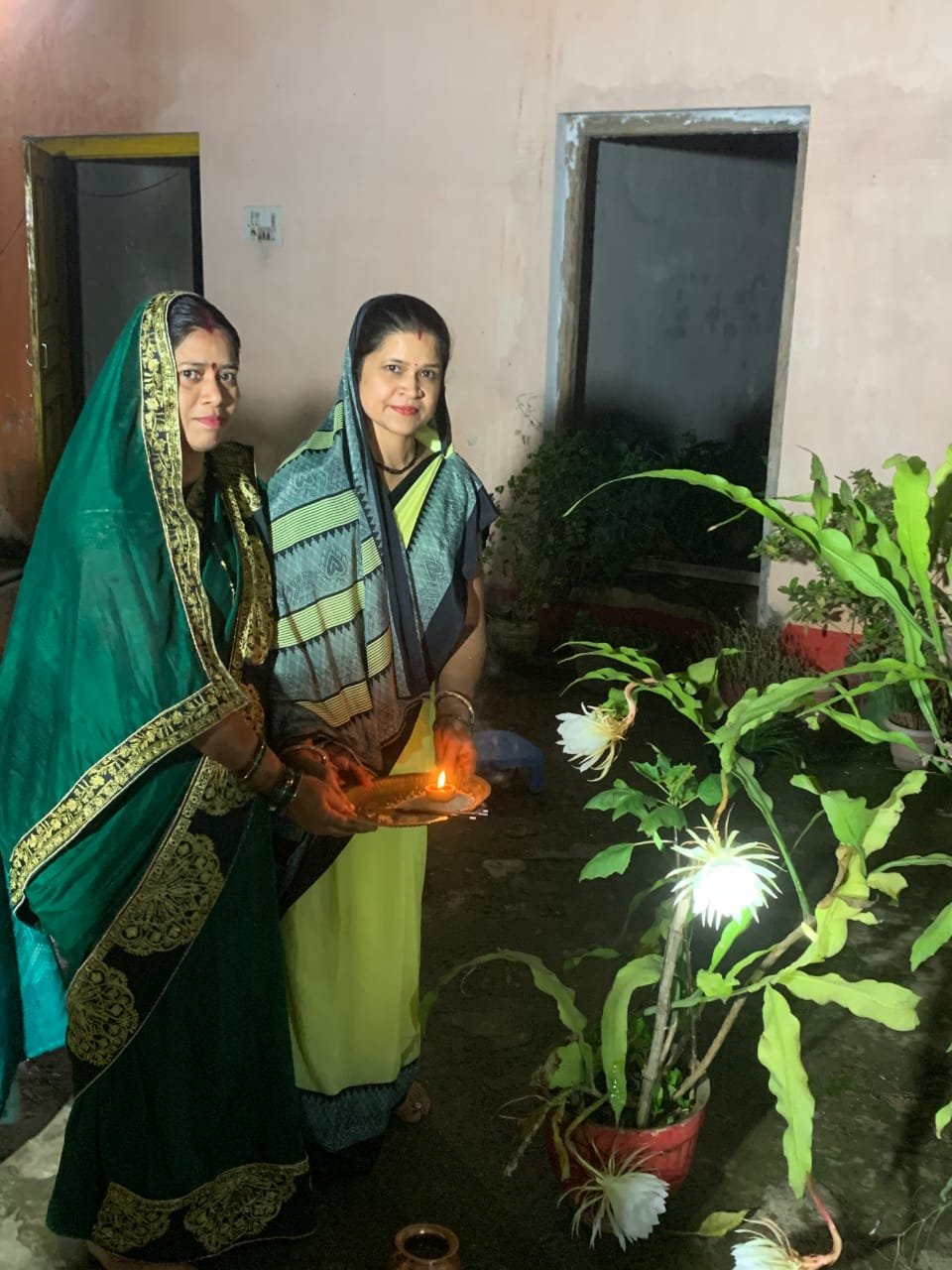 शिक्षिका फुलेश्वरी के घर खिला ब्रम्हकमल 1 IMG 20250714 WA0038 kshititech