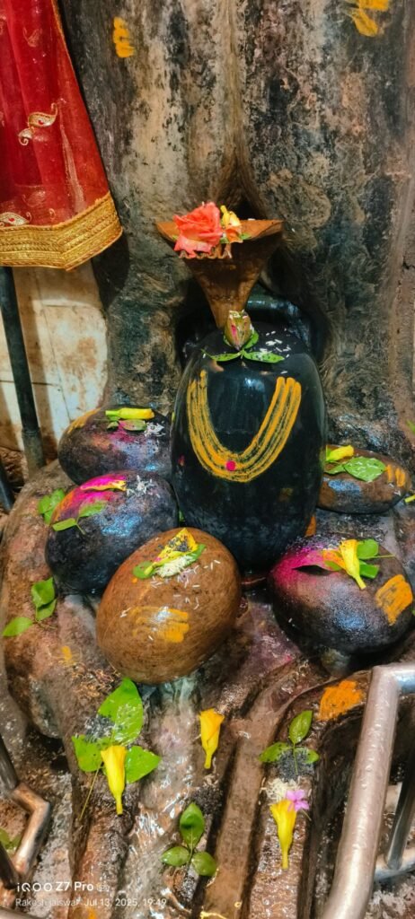 "हर हर महादेव" के जयकारों से गूंज उठा तुर्रीधाम 3 img 20250713 wa00556085689292817037663 kshititech