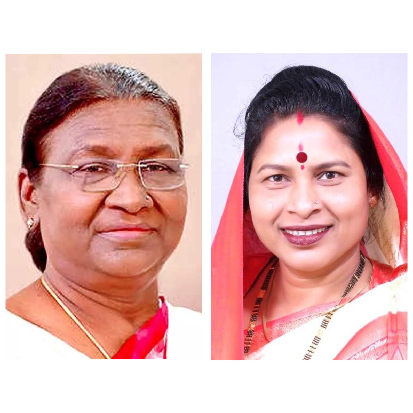 कृषि स्थाई समिति सभापति विद्या सिदार दिल्ली रवाना, राष्ट्रपति से करेंगी शिष्टाचार भेंट 1 InCollage 20250803 133442429 scaled kshititech
