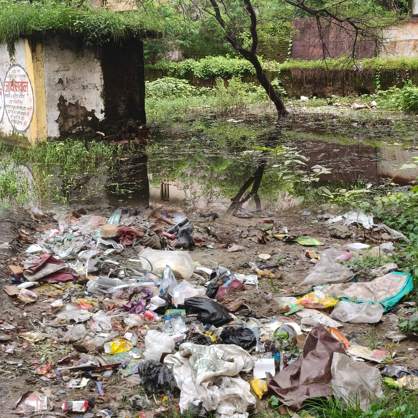 वार्ड 06 बना उपेक्षा का शिकार, पार्षद की बेरुखी से मोहल्लेवासियों में रोष 1 InCollage 20250804 094814867 scaled kshititech