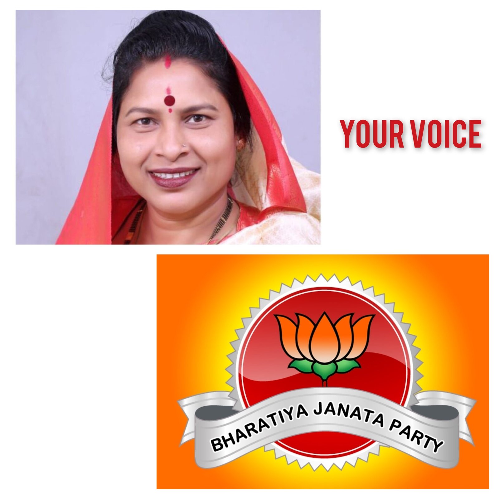 जिला पंचायत सभापति विद्या सिदार बनीं भाजपा की प्रदेश मंत्री, समाज व संगठन में लंबे समय से निभा रही हैं अहम भूमिका 1 InCollage 20250815 212051546 scaled kshititech