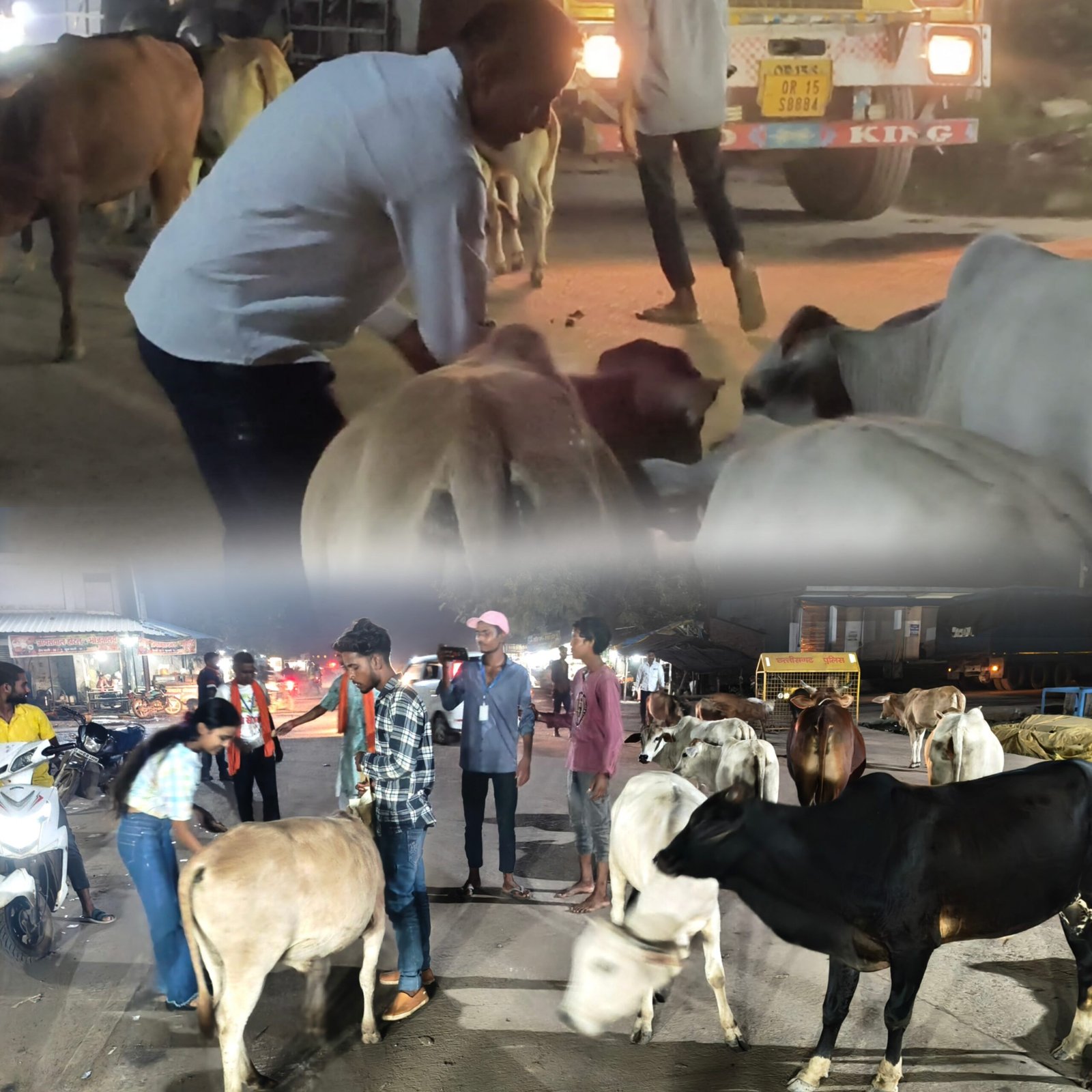 गौ सेवा से बेटी के जन्मदिन का जश्न: समाज को मिला अनोखा संदेश 1 Picsart 25 09 08 20 17 52 526 scaled kshititech