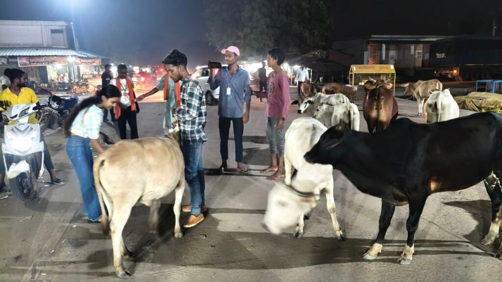 गौ सेवा से बेटी के जन्मदिन का जश्न: समाज को मिला अनोखा संदेश 3 img202509081921142796978553487069472 kshititech