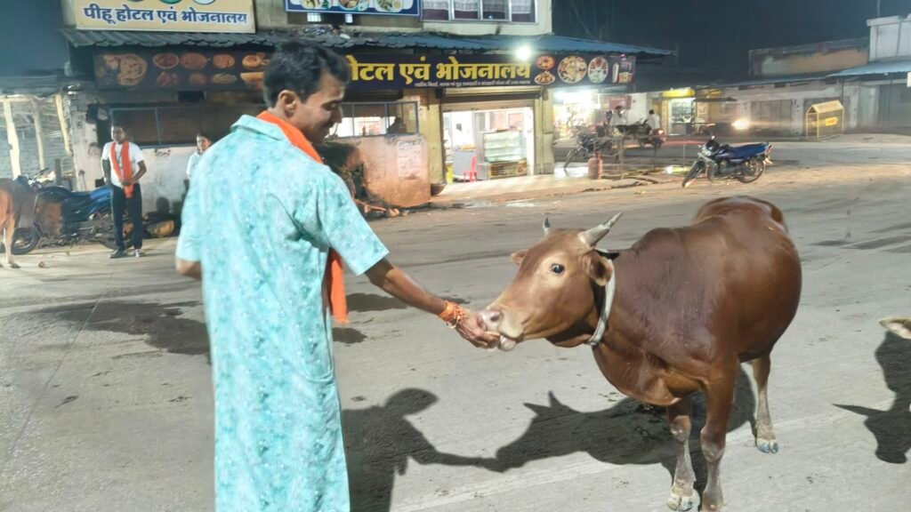 गौ सेवा से बेटी के जन्मदिन का जश्न: समाज को मिला अनोखा संदेश 2 img202509081923525613183032708383083 kshititech