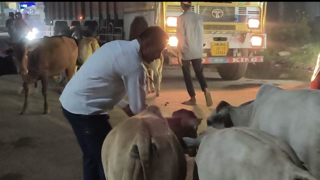 गौ सेवा से बेटी के जन्मदिन का जश्न: समाज को मिला अनोखा संदेश 4 screenshot 2025 09 08 20 15 06 65 99c04817c0de5652397fc8b56c3b38171671594168798009821 kshititech